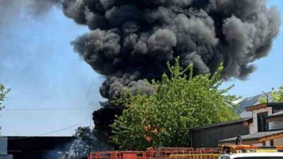 Bursa’nın Nilüfer ilçesinde yapı malzemeleri satan bir işyerinin bahçesinde bulunan