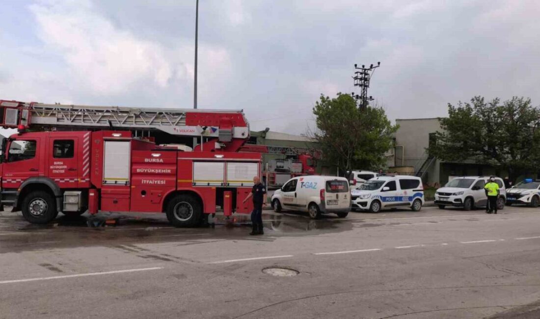Bir sunta fabrikasında meydana gelen yangın, Bursa’nın İnegöl ilçesinde gerçekleşti.