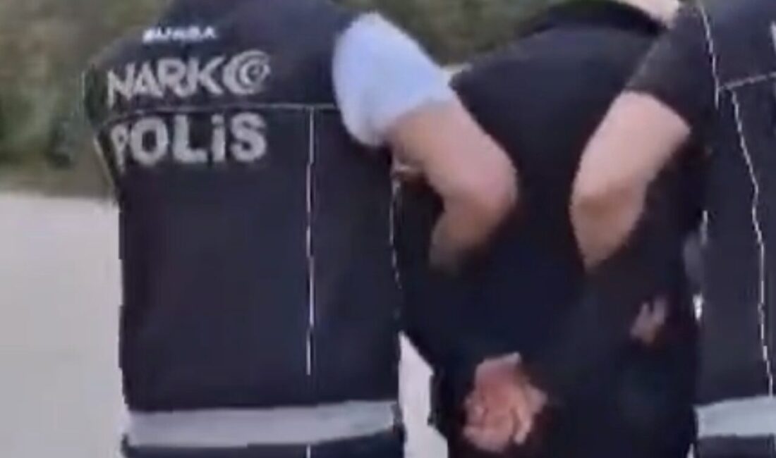 Bursa’nın İznik ilçesi merkezli düzenlenen uyuşturucu operasyonunda 12 kişi gözaltına