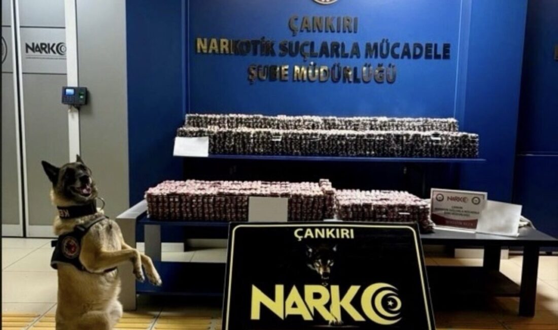 Çankırı’da polis ekipleri tarafından gerçekleştirilen operasyonda 85 bin adet uyuşturucu