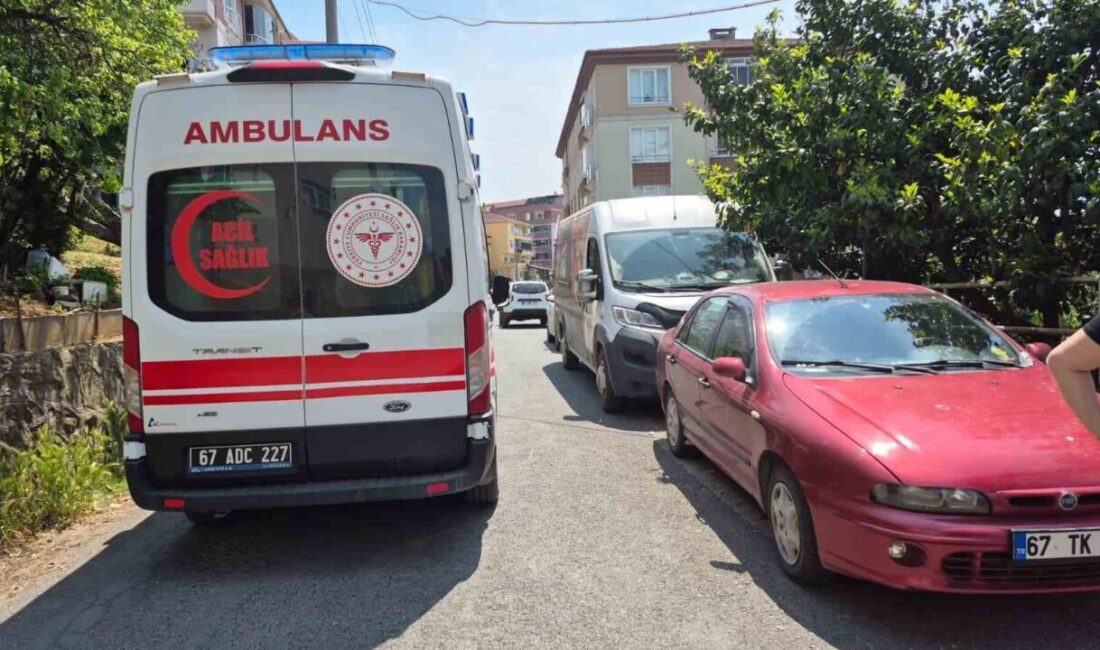 Zonguldak’ın Karadeniz Ereğli ilçesinde bir birey, doğal gaz borusuna bağladığı