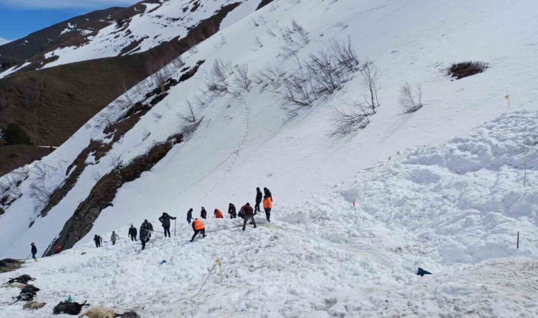 Ardauc of Artvin province, the lifeless body of the shepherd
