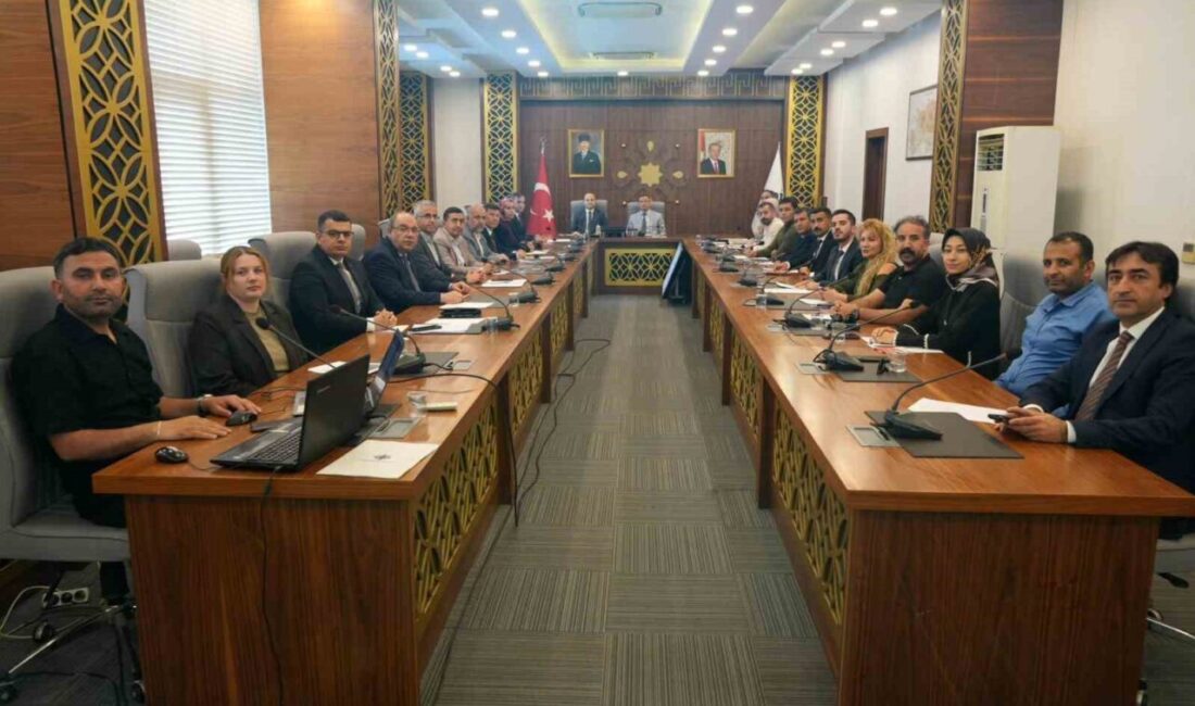 Şırnak’ın Cizre ilçesinde “Çocuk Koruma İlçe Koordinasyon Kurulu Toplantısı” düzenlendi.