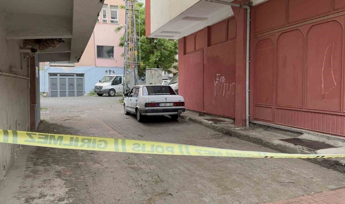 Çorum iline bağlı Sungurlu ilçesinde, bir genç amcasının oğluyla yaşadığı