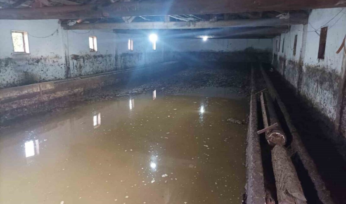 Çorum’un Sungurlu ilçesine etkili olan şiddetli sağanak yağış nedeniyle su