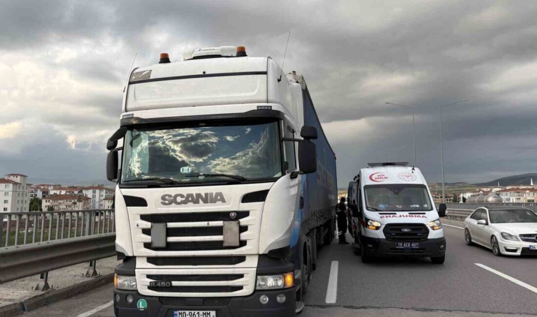 Çorum’da meydana gelen trafik kazasında bir kişi yaralandı. Kaza, Çevreyolu