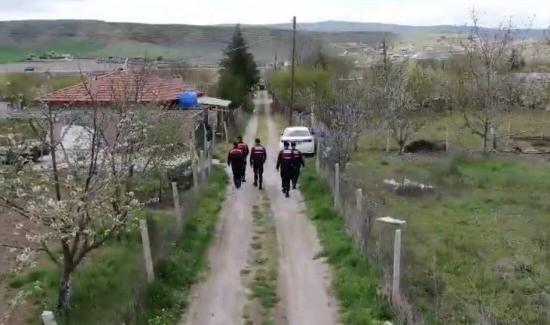 Bu yıl Çorum’da jandarma ekiplerince gerçekleştirilen uyuşturucu operasyonlarında toplam 220