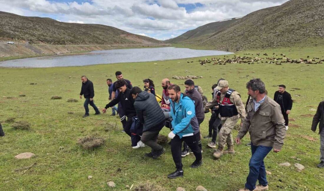 Bingöl’ün Karlıova ilçesinde, dağlık bir alanda düşerek yaralanan bir kişi,