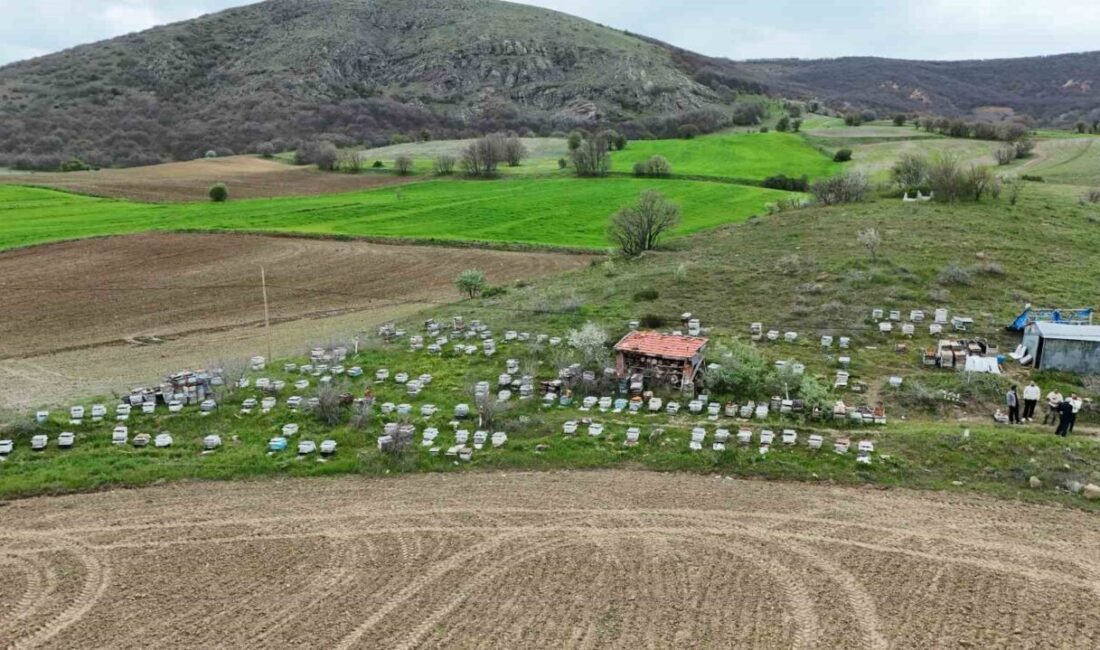 Yozgat’ta havaların ısınmasıyla birlikte arıcılar, yeni sezon için hazırlıklarını tamamlamış