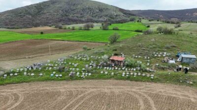 Yozgat’ta havaların ısınmasıyla birlikte arıcılar, yeni sezon için hazırlıklarını tamamlamış