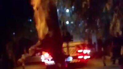İzmir’in Bayraklı ilçesinde gerçekleşen olayda, bir kurbanlık dana dereye düştü