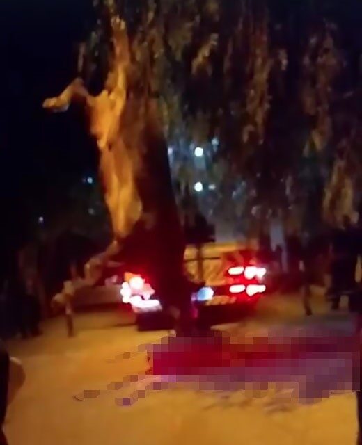 İzmir’in Bayraklı ilçesinde gerçekleşen olayda, bir kurbanlık dana dereye düştü