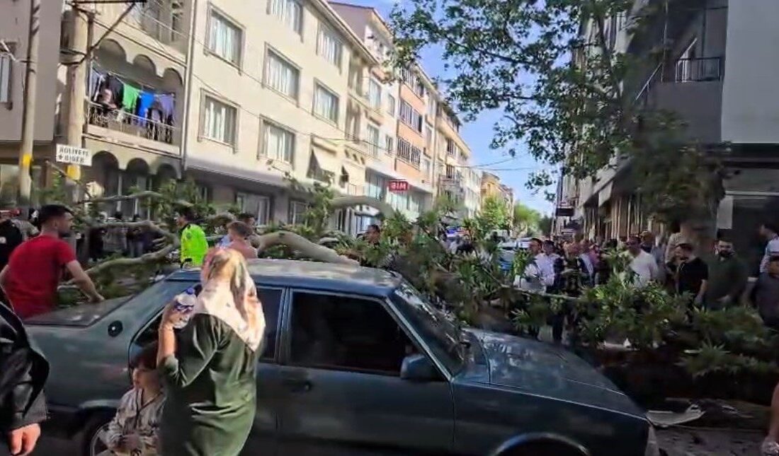 Bursa’nın Karacabey ilçesinde bir ağacın devrilmesi sonucu motosiklet sürücüsünün yaralandığı