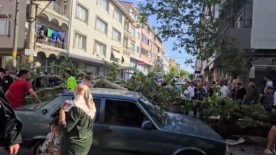 Bursa’nın Karacabey ilçesinde bir ağacın devrilmesi sonucu motosiklet sürücüsünün yaralandığı