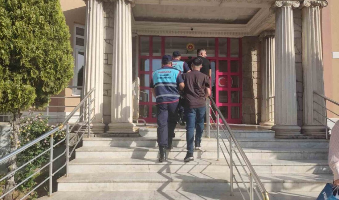 Didim ilçesinde gerçekleştirilen bir operasyonda, insansız hava aracı (İHA) destekli