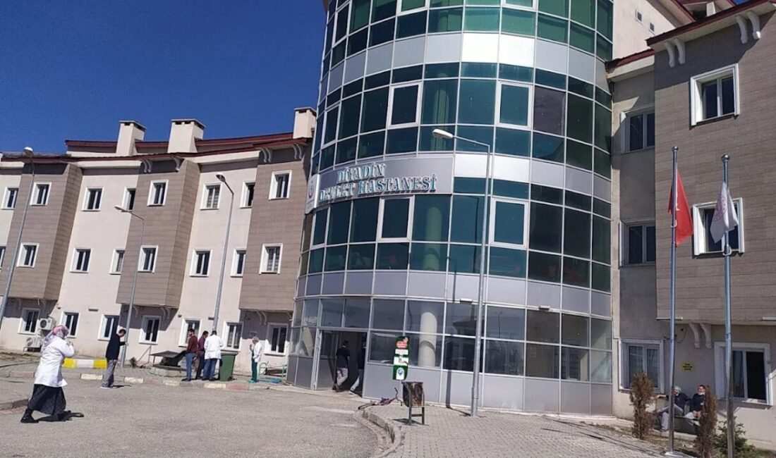Ağrı’nın Diyadin ilçesinde Kurban Bayramı’nın ilk iki gününde meydana gelen