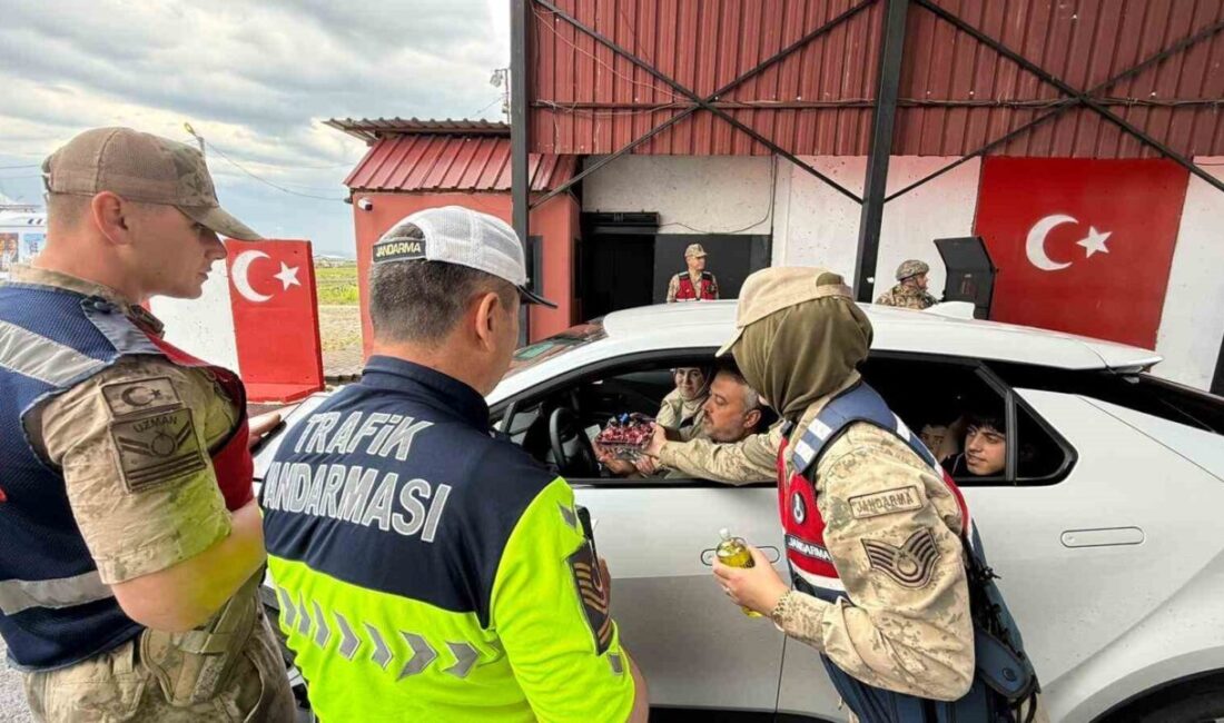 Diyarbakır’da Jandarma ekipleri, Kurban Bayramı öncesinde trafik denetimi gerçekleştirdi. İl