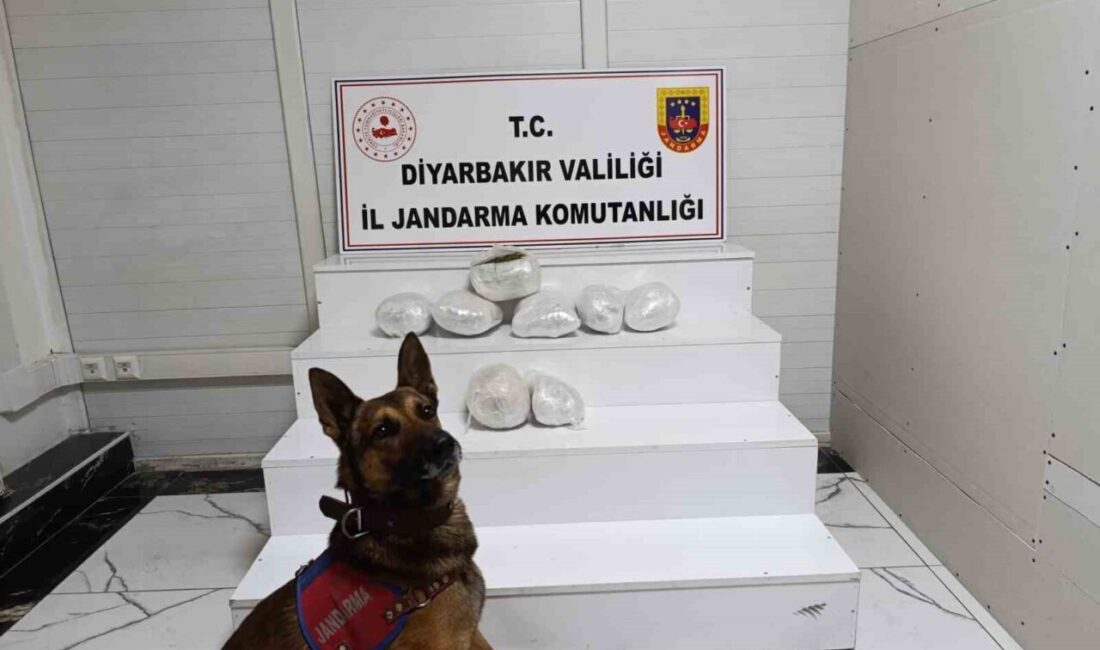 Diyarbakır ilinde jandarma ekipleri tarafından gerçekleştirilen operasyonlarda çok sayıda uyuşturucu