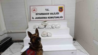 Diyarbakır ilinde jandarma ekipleri tarafından gerçekleştirilen operasyonlarda çok sayıda uyuşturucu