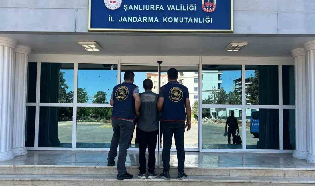Şanlıurfa’da dolandırıcılık suçundan kesinleşmiş 4 yıl hapis cezasıyla aranan bir