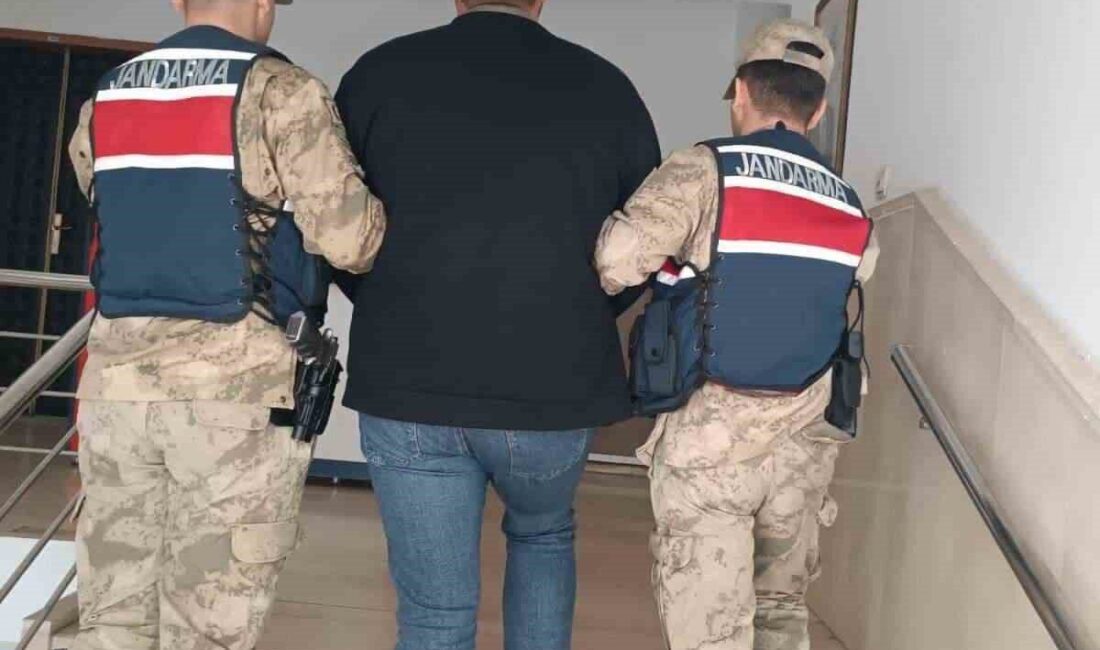 Şanlıurfa’da, dolandırıcılık suçu işlemekten aranan bir şahıs, jandarma ekipleri tarafından