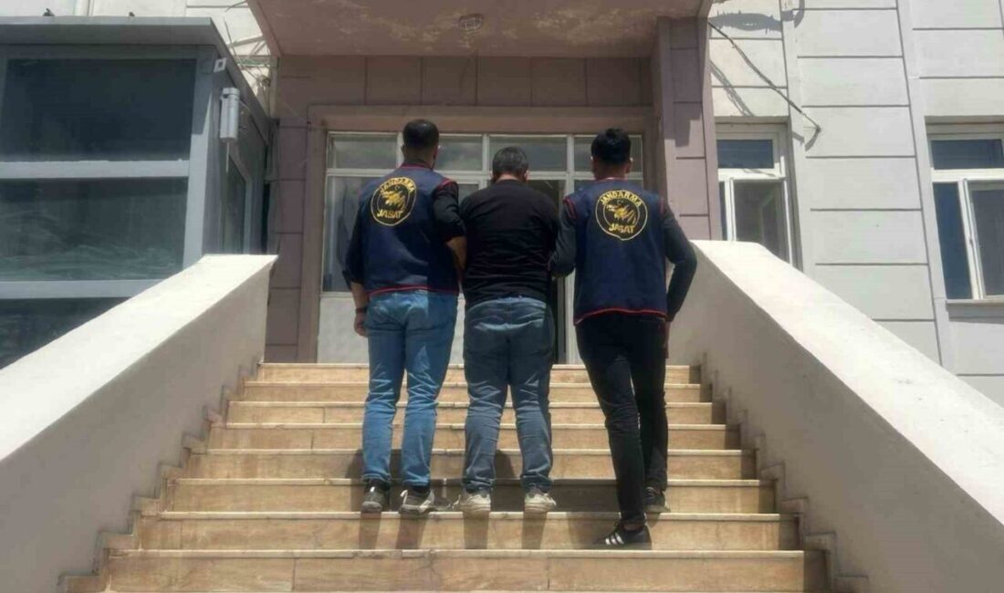 Suruç ilçesinde dolandırıcılık suçundan 5 yıl hapis cezasına çarptırılan bir