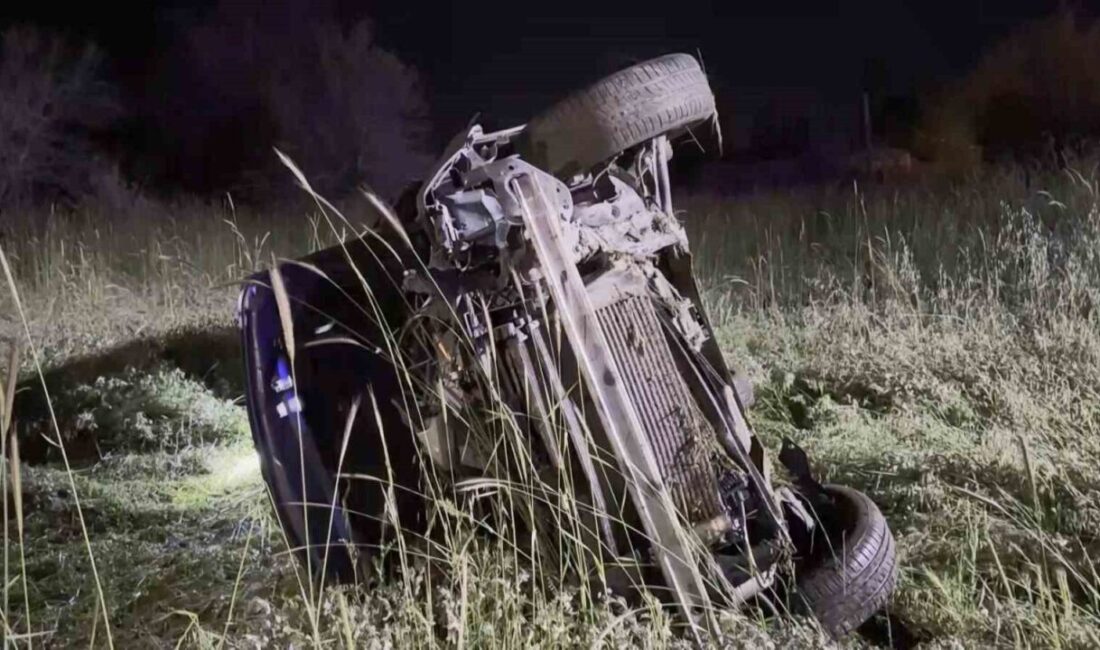 Elazığ’da meydana gelen trafik kazasında bir otomobil, domuz çarpması sonucu