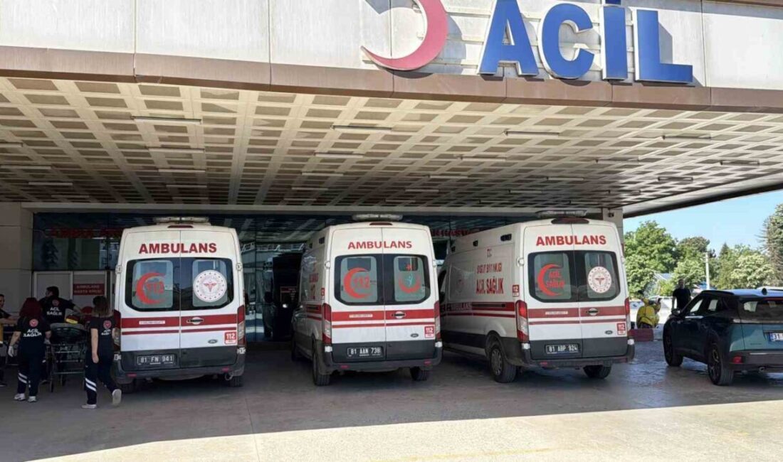 Düzce’de Kurban Bayramı’nın ilk gününde kurban kesiminde yaralanan 154 kişi