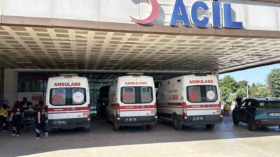 Düzce’de Kurban Bayramı’nın ilk gününde kurban kesiminde yaralanan 154 kişi
