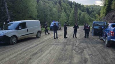 Düzce’de Samandere köyü ile Sinekli Yaylası arasındaki bir yol kenarında