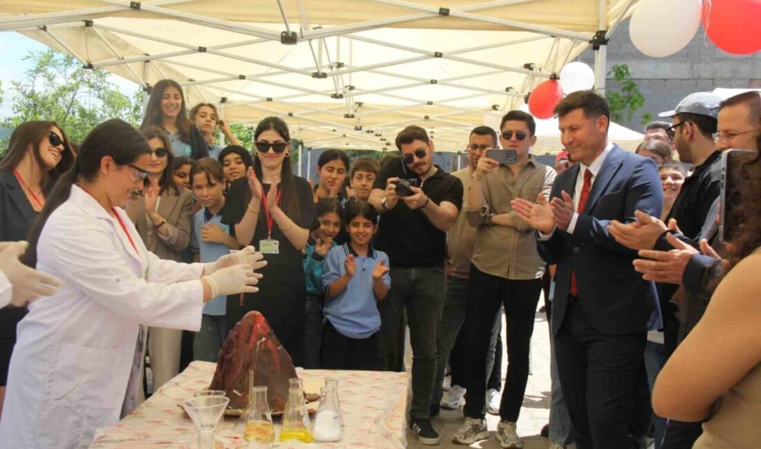 Cizre ilçesine bağlı Vatan Ortaokulu öğrencileri tarafından düzenlenen TÜBİTAK 4006