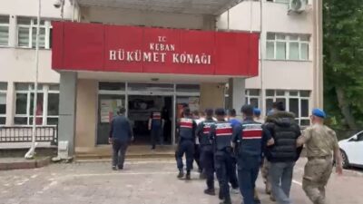 Elazığ merkezli 10 ilde gerçekleşen dolandırıcılık operasyonunda 6 şüpheli tutuklandı.