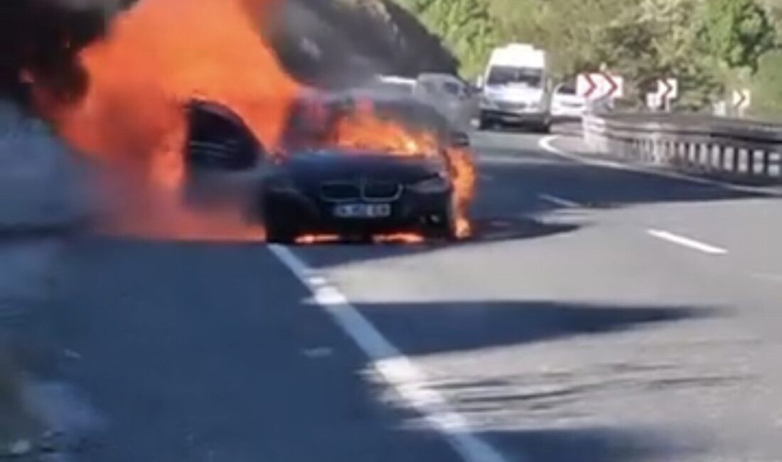 Elazığ’da seyir halindeki bir otomobil aniden alev topuna dönüştü. Yangın,
