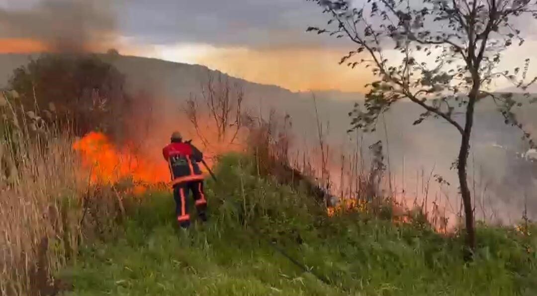 Kuşçu Köyü, Elazığ’ın Kovancılar ilçesine bağlı olan bir köydür ve