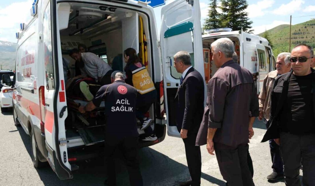 Elazığ’da bir sürücü, aracın direksiyon kontrolünü kaybederek aydınlatma direğine çarptı.