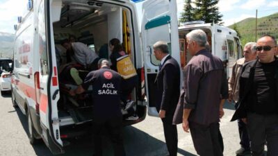 Elazığ’da bir sürücü, aracın direksiyon kontrolünü kaybederek aydınlatma direğine çarptı.