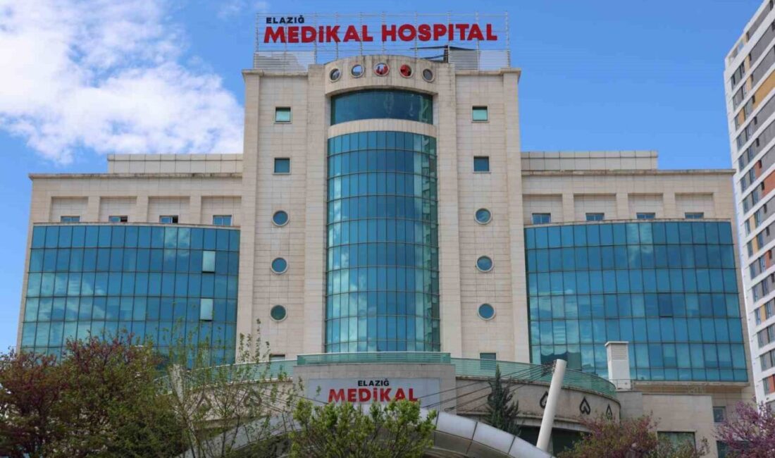 Elazığ’da özel sağlık kuruluşlarına yönelik gerçekleştirilen operasyonda Medikal Hospital ve