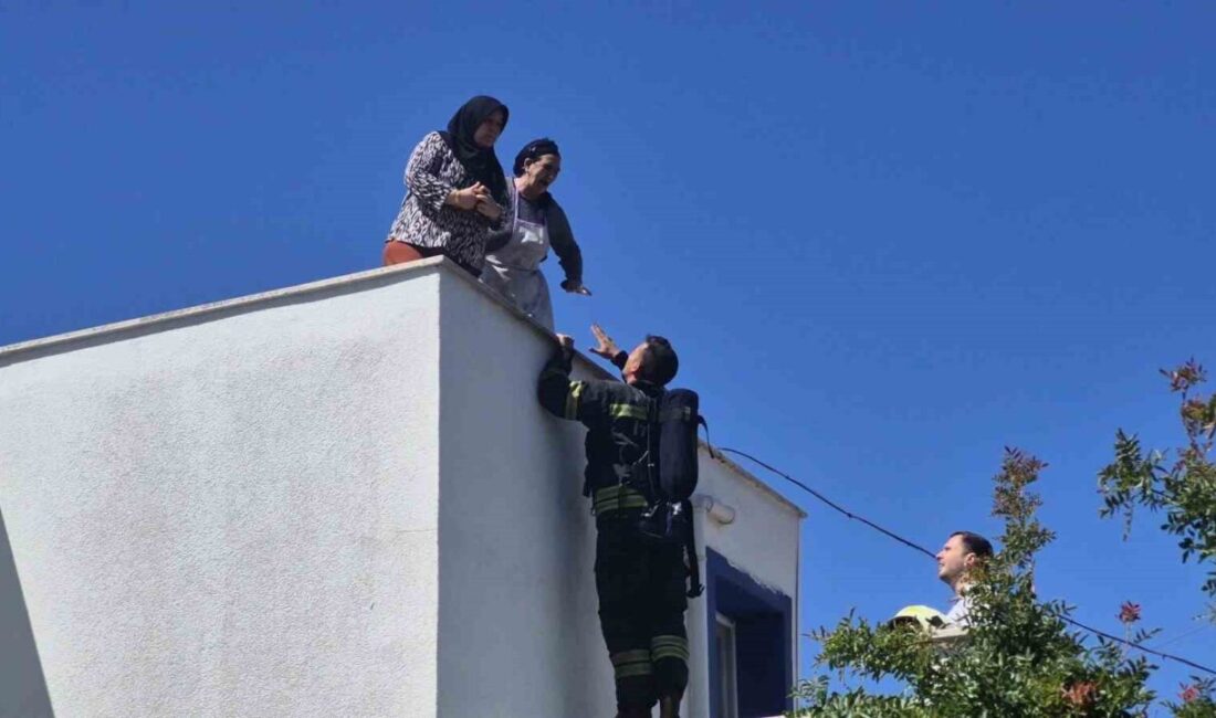 Muğla’nın Bodrum ilçesinde, Eskiçeşme Mahallesi Çoban Yıldızı Sokak’ta meydana gelen