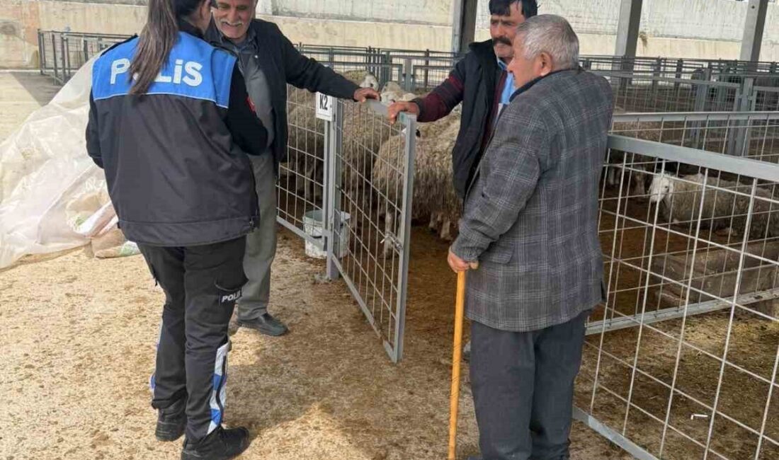 Çankırı’da polis ekipleri, Kurban Bayramı öncesinde hayvan pazarında vatandaşları sahte