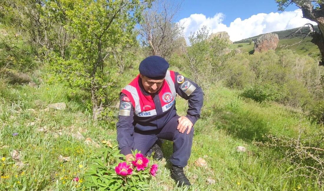 Yozgat İl Jandarma Komutanlığı Çevre, Doğa ve Hayvanları Koruma Timi,