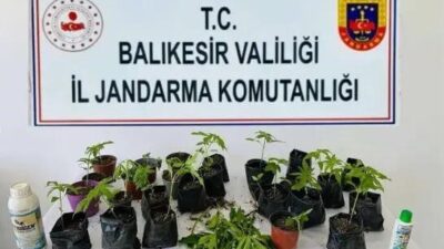 Balıkesir’in Erdek ilçesinde jandarma ekipleri tarafından düzenlenen operasyonda, yasa dışı