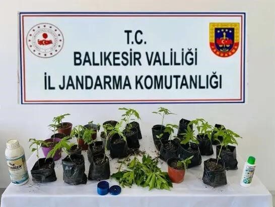 Balıkesir’in Erdek ilçesinde jandarma ekipleri tarafından düzenlenen operasyonda, yasa dışı