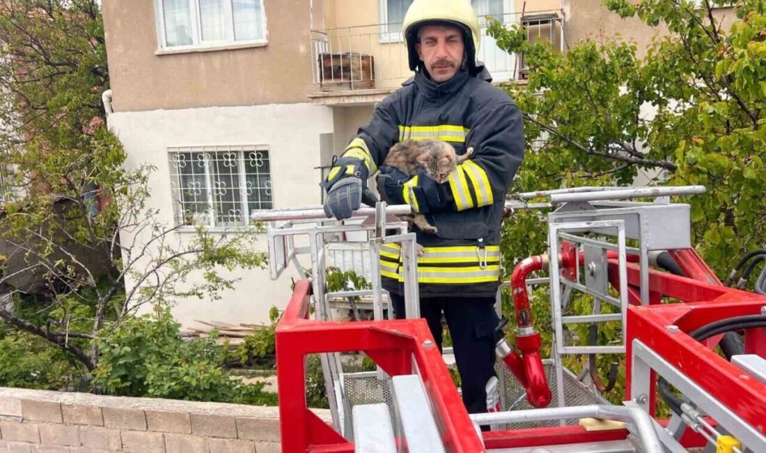 Erzincan’da, Yavuz Selim Mahallesi’nde bulunan bir binanın çatısında mahsur kalan