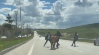 Erzurum’da Kurban Bayramı öncesi geleneği haline gelen manzaralar, bu yıl