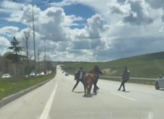 Erzurum’da Kurban Bayramı öncesi geleneği haline gelen manzaralar, bu yıl