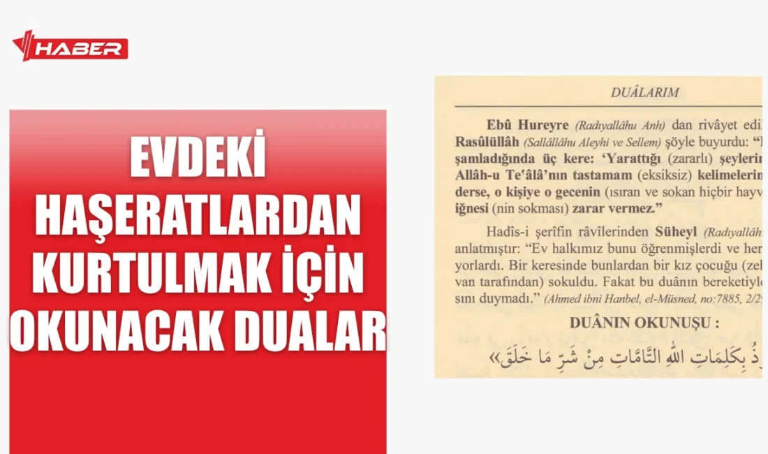 Evdeki haşeratlardan kurtulmak için etkili dualar ve nasıl okunacağı hakkında