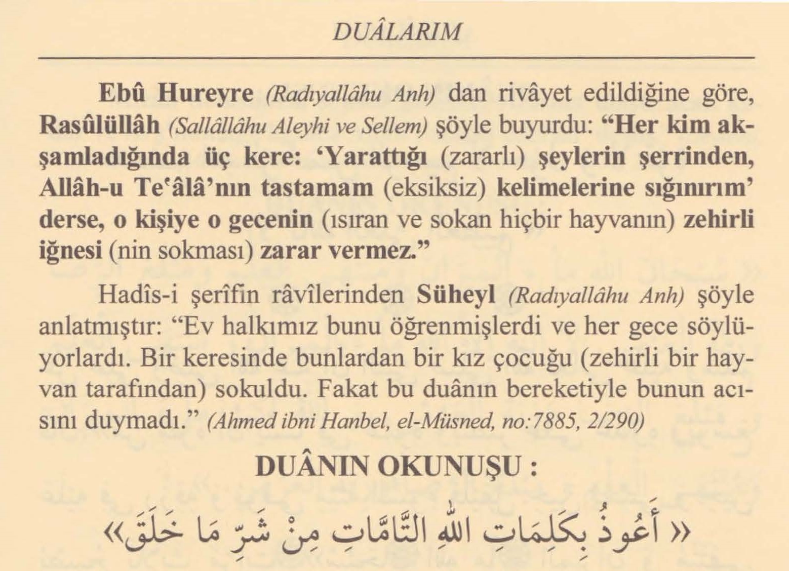 Böceklerden Korunmak İçin Okunacak Dua - Cübbeli Ahmet Hoca'dan Dua ve  Zikirler