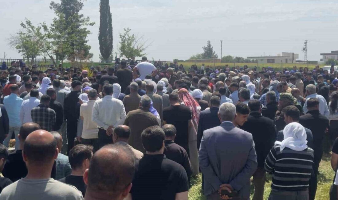 Ceylanpınar ilçesinde kaybolan ve evinin damında ölü bulunan 5 yaşındaki