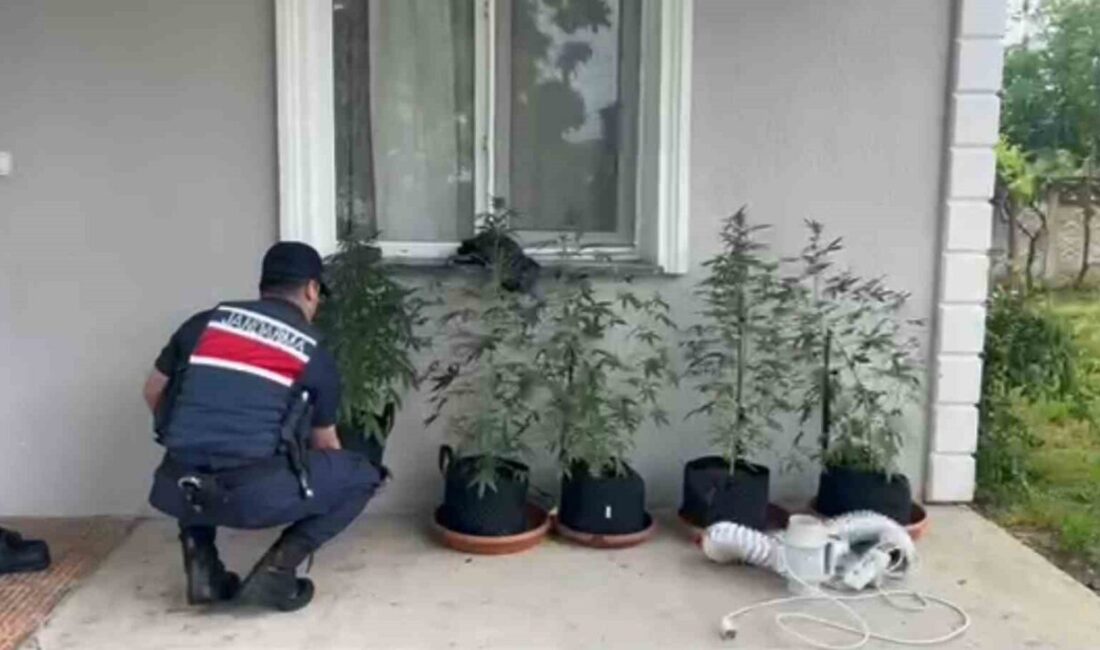 Düzce İl Jandarma Komutanlığı ekiplerinin yürüttüğü operasyon sonucunda, Beyköy Beldesi’nde