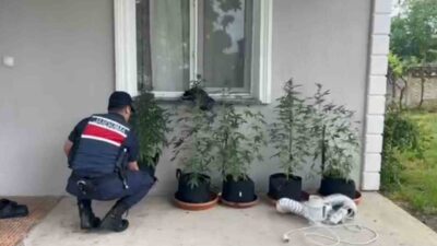 Düzce İl Jandarma Komutanlığı ekiplerinin yürüttüğü operasyon sonucunda, Beyköy Beldesi’nde